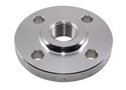 Stainless Steel Threaded Flange Supplier in India